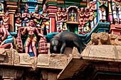 The great Chola temples of Tamil Nadu - The Sri Ranganatha Temple of Srirangam. Detail of the gopura of the North entrance to the temple. 